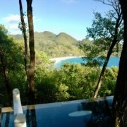 6FE92D97-59E1-4C7C-9F92-E47E86D55AB1_1_201_a