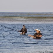 E227E494-BB17-4D8E-ABFD-CAEDBE245707_1_201_a