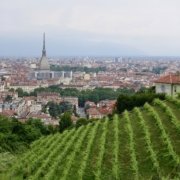 E432071D-EF3A-4EC2-B6C2-0A3FD5B52345_1_201_a